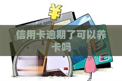 信用卡逾期了可以养卡吗