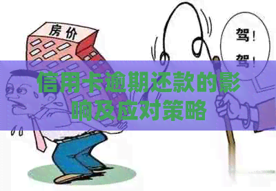 信用卡逾期还款的影响及应对策略