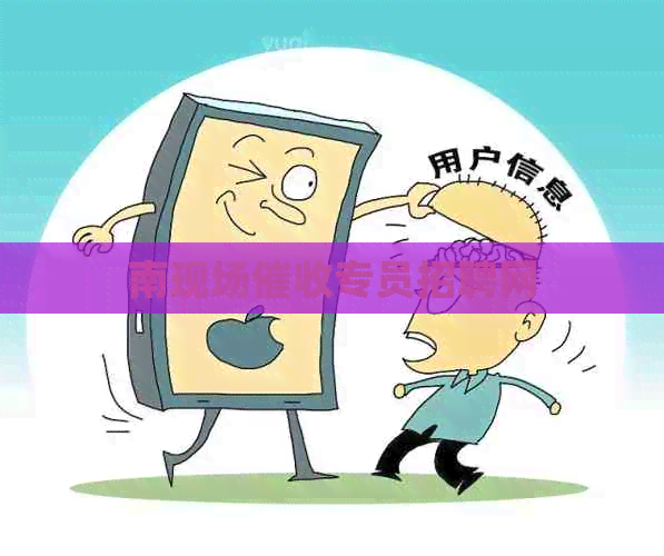 南现场专员招聘网