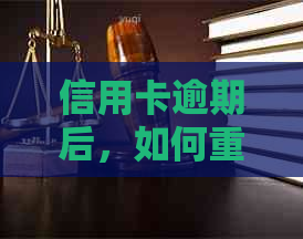 信用卡逾期后，如何重新办理进厂信用卡？