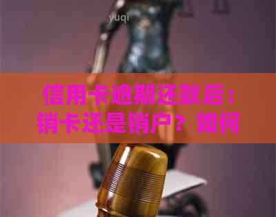 信用卡逾期还款后：销卡还是销户？如何全面处理以避免信用损失？