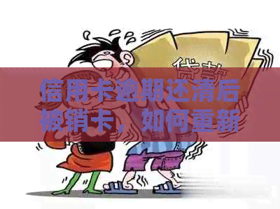 信用卡逾期还清后被销卡，如何重新申请并避免再次逾期的全面指南