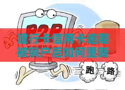 建行卡信用卡逾期被销户后如何重新激活与恢复，解决用户关心的一系列问题