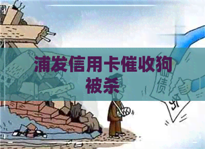 浦发信用卡狗被杀