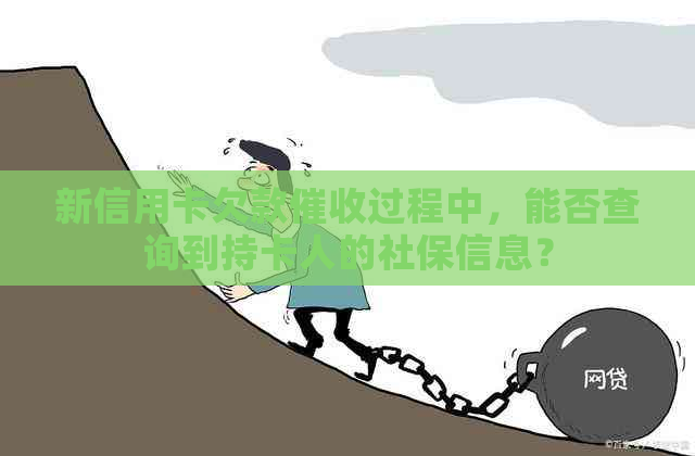 新信用卡欠款过程中，能否查询到持卡人的社保信息？