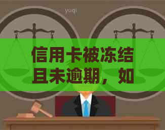 信用卡被冻结且未逾期，如何解冻并恢复正常使用？解决步骤和相关建议