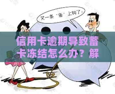 信用卡逾期导致蓄卡冻结怎么办？解冻方法和预防措全面解析