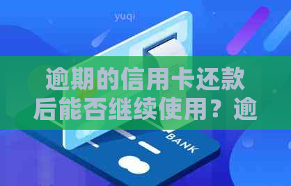 逾期的信用卡还款后能否继续使用？逾期信用卡如何申请分期？