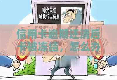 信用卡逾期还清后卡被冻结，怎么办？