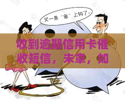 收到逾期信用卡短信，未章，如何处理？