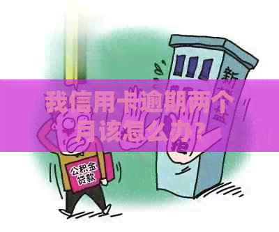 我信用卡逾期两个月该怎么办？