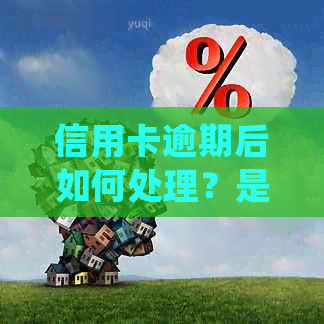 信用卡逾期后如何处理？是否可以申请分期还款？了解详细操作步骤和影响