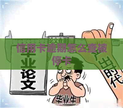 信用卡逾期怎么查被停卡