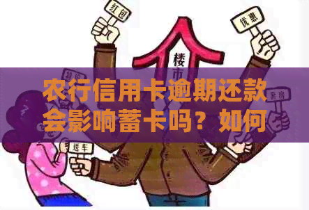 农行信用卡逾期还款会影响蓄卡吗？如何避免逾期费用及蓄卡资金冻结？