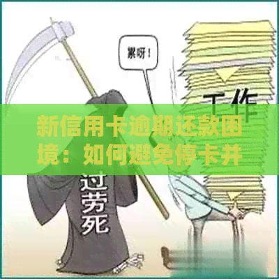 新信用卡逾期还款困境：如何避免停卡并解决债务问题？