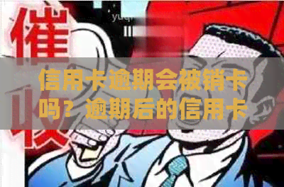 信用卡逾期会被销卡吗？逾期后的信用卡如何处理？