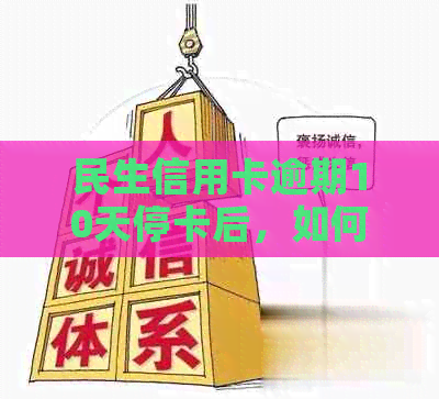 民生信用卡逾期10天停卡后，如何重新激活并解决还款问题？