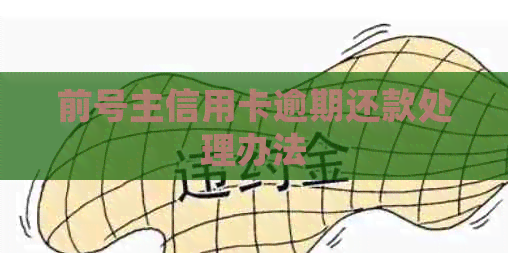 前号主信用卡逾期还款处理办法