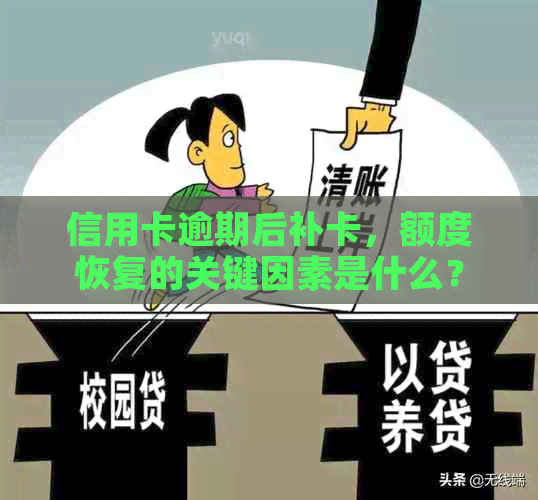 信用卡逾期后补卡，额度恢复的关键因素是什么？