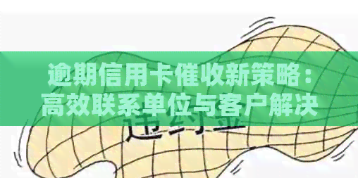 逾期信用卡新策略：高效联系单位与客户解决方案