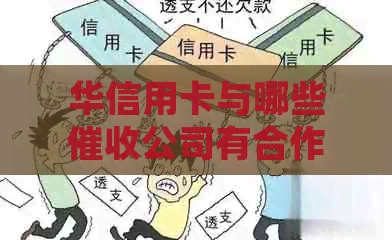 华信用卡与哪些公司有合作：合作协议细节揭秘