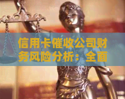 信用卡公司财务风险分析：全面了解与应对策略
