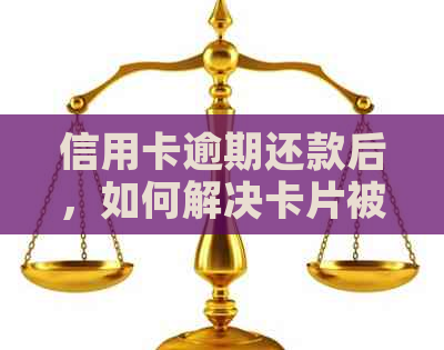 信用卡逾期还款后，如何解决卡片被冻结的问题？