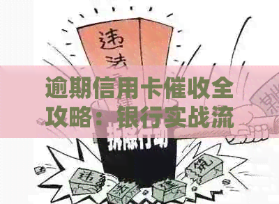 逾期信用卡全攻略：银行实战流程分析