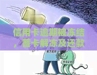 信用卡逾期被冻结，蓄卡解冻及还款期策略