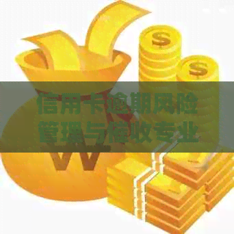信用卡逾期风险管理与专业服务公司