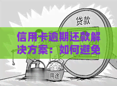 信用卡逾期还款解决方案：如何避免罚息、恢复信用以及处理逾期记录