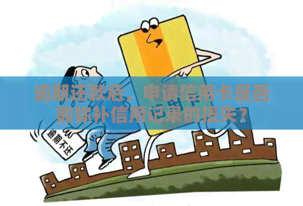 逾期还款后，申请信用卡是否能弥补信用记录的损失？