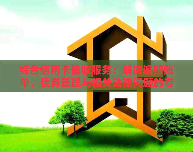 综合信用卡服务：解决逾期账单、债务管理与相关法律问题的专业公司