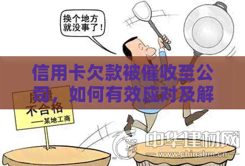 信用卡欠款被至公司，如何有效应对及解决相关问题？
