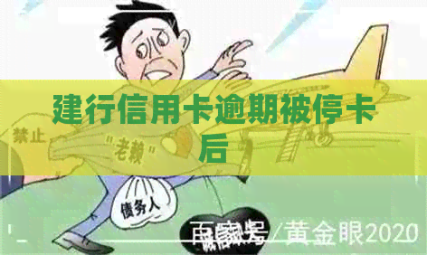 建行信用卡逾期被停卡后