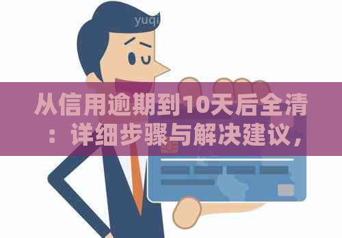 从信用逾期到10天后全清：详细步骤与解决建议，让你轻松摆脱信用困境！