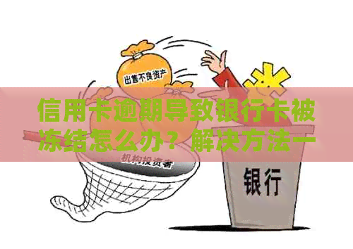 信用卡逾期导致银行卡被冻结怎么办？解决方法一网打尽！