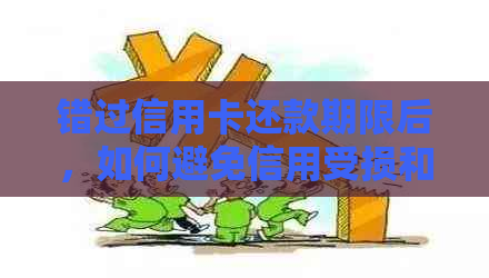 错过信用卡还款期限后，如何避免信用受损和账户被注销？