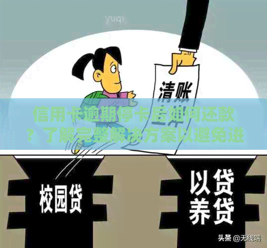 信用卡逾期停卡后如何还款？了解完整解决方案以避免进一步影响信用评分