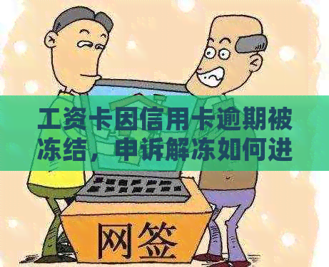 工资卡因信用卡逾期被冻结，申诉解冻如何进行？