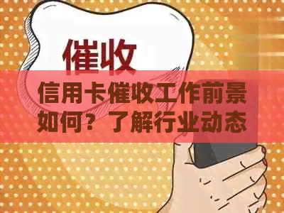 信用卡工作前景如何？了解行业动态、技能要求和职业发展机会
