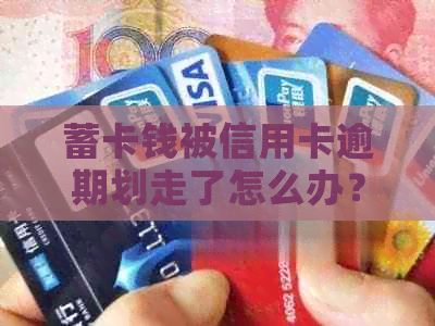 蓄卡钱被信用卡逾期划走了怎么办？