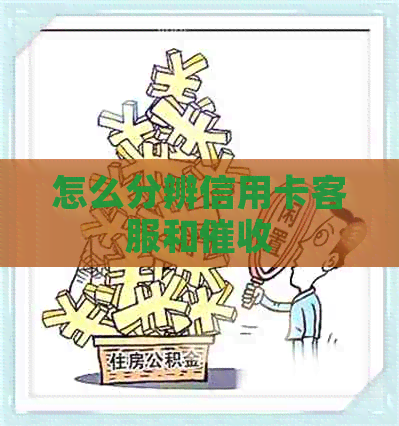 怎么分辨信用卡客服和