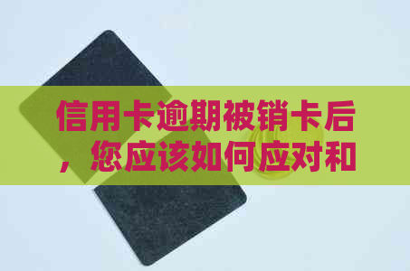 信用卡逾期被销卡后，您应该如何应对和解决？这里有全面的处理方法和建议