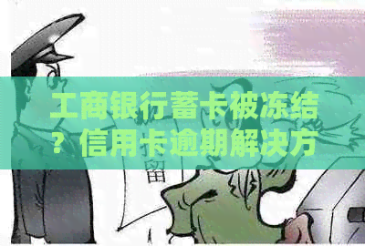 工商银行蓄卡被冻结？信用卡逾期解决方法一网打尽！