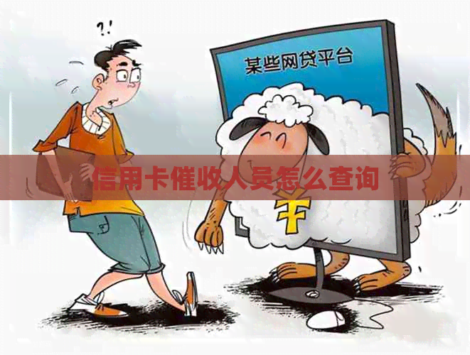 信用卡人员怎么查询