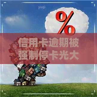 信用卡逾期被强制停卡光大