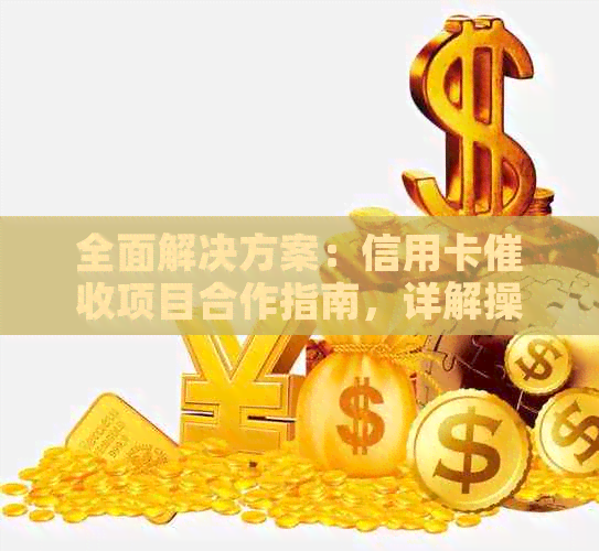 全面解决方案：信用卡项目合作指南，详解操作流程与注意事项