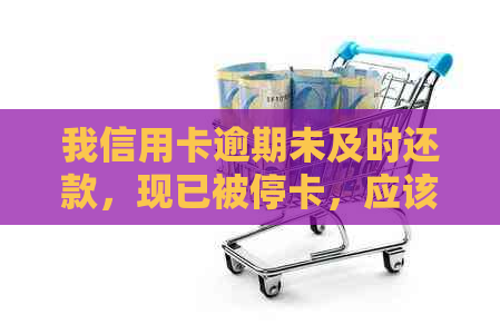 我信用卡逾期未及时还款，现已被停卡，应该如何解决？