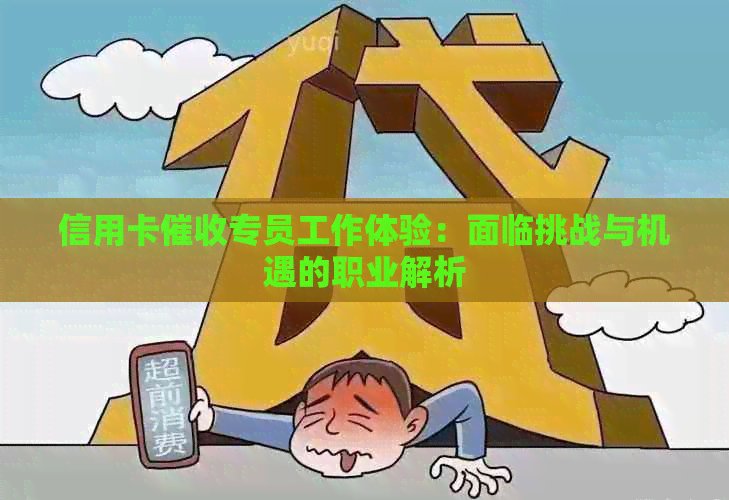 信用卡专员工作体验：面临挑战与机遇的职业解析